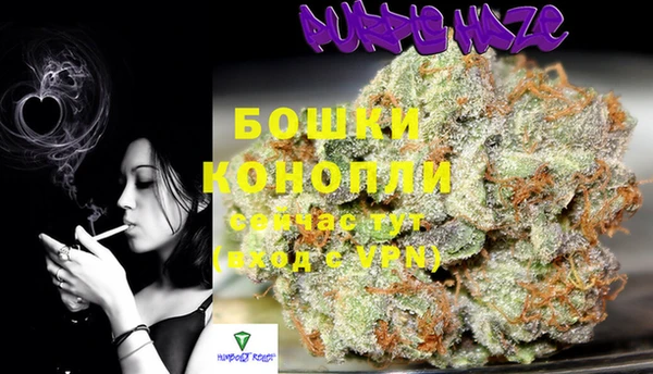 ПСИЛОЦИБИНОВЫЕ ГРИБЫ Дмитров