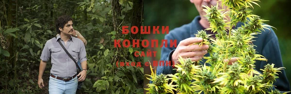 каннабис Дмитровск