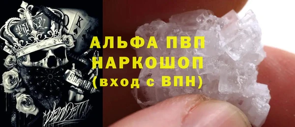 крисы Ельня