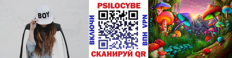 Купить Суворов Псилоцибиновые грибы Magic Shrooms